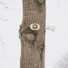 В Пензе 4 марта завоют сирены: жителей просят сохранять спокойствие