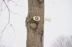 В Пензе 4 марта завоют сирены: жителей просят сохранять спокойствие