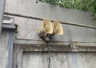 Начальник ГОЧС Пензы рассказал, в каких районах появятся новые сирены