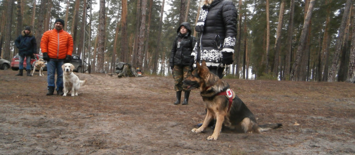 Тревожный февраль для Пензы: десятки заявок о пропавших людях