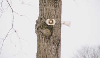 Жители добились своего: в Засечном Пензенского района начали устанавливать сирены