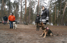 Тревожный февраль для Пензы: десятки заявок о пропавших людях