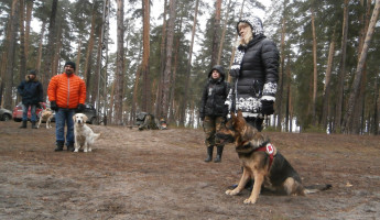Тревожный февраль для Пензы: десятки заявок о пропавших людях Тревожный февраль для Пензы: десятки заявок о пропавших людях