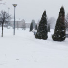 Пензенцев предупреждают о сильном ветре 7 марта