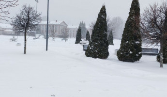 Пензенцев предупреждают о сильном ветре 7 марта