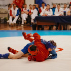 Новые мастера спорта из Пензенской области: кто вошёл в список