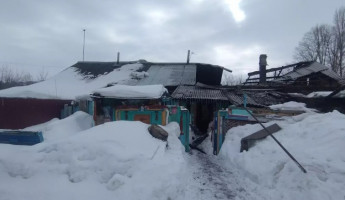 Пензеснкие пожарные эвакуировали женщину из горящего здания