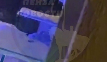 В Пензе подросток упал с девятого этажа – соцсети