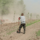Пензенцам повысят земельный налог из-за нарушений в землепользовании