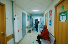 Новые правила для самозанятых пензенцев: больничные станут доступнее