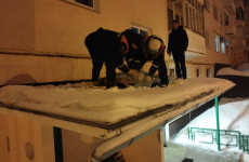 Трагедия в Пензе: на козырьке многоэтажки нашли тело молодой девушки