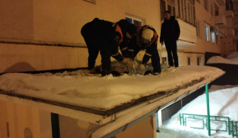 Трагедия в Пензе: на козырьке многоэтажки нашли тело молодой девушки