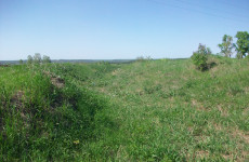 Что скрывает земля Пензенской области: археологи отправятся на поиски древних находок