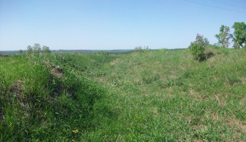 Что скрывает земля Пензенской области: археологи отправятся на поиски древних находок