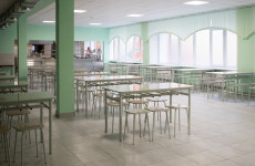 Рвота и тошнота у детей: в пензенской школе №78 произошла вспышка норовируса