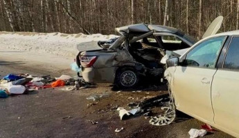 Опубликованы шокирующие фото с места смертельной автокатастрофы под Пензой