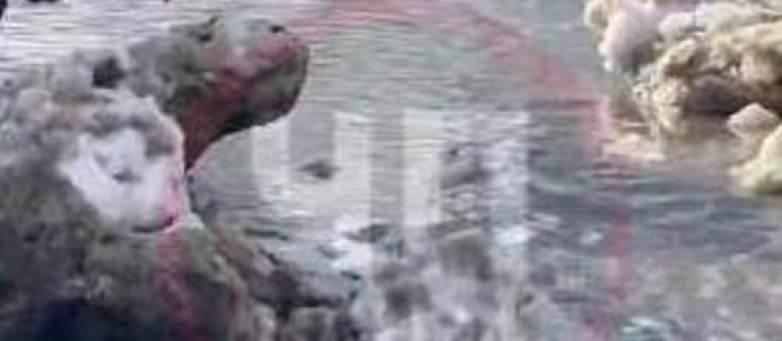 Коммунальная авария и закрытые школы: что происходит в Засечном под Пензой