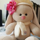 В Пензенской области игрушечный зайчик стал причиной судебного разбирательства