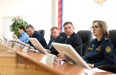 Почти четыре тысячи наркообъявлений уничтожены в Пензе за год