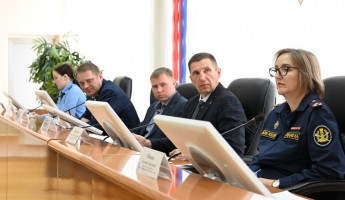 Почти четыре тысячи наркообъявлений уничтожены в Пензе за год