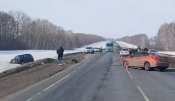 Двух человек увезли в больницу после жесткого ДТП на трассе Тамбов – Пенза