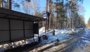 Новый ЖК есть, а остановки нет: в Пензе назрела очередная транспортная проблема