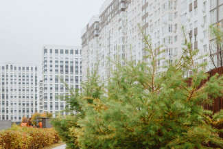 Рынок новостроек в Пензенской области резко просел: продажи рухнули на 36%