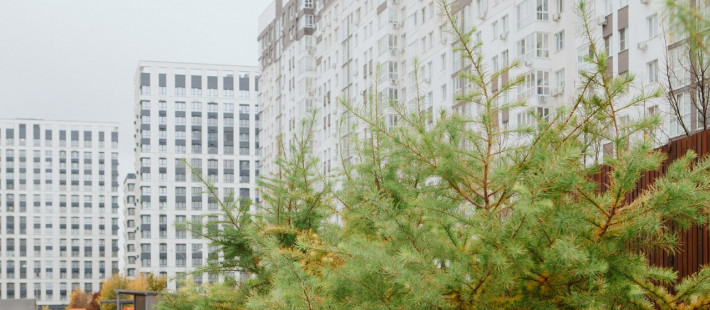 Рынок новостроек в Пензенской области резко просел: продажи рухнули на 36%