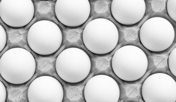 Яйца +18%: цены в очередной раз ударили по пензенцам