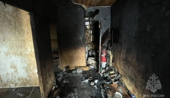 Утренний пожар в Пензенской области унес жизнь молодого мужчины