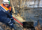 Жуткая находка: в Пензе спасатели достали из болота труп мужчины