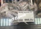 Пензенцев добили цены: рыба для кошек стала дороже мяса