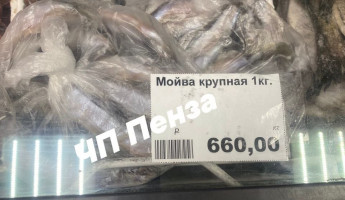 Пензенцев добили цены: рыба для кошек стала дороже мяса