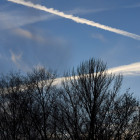 Пензенская область усиливает меры безопасности: новые ограничения