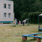 Кто не успел — тот опоздал: пензенцев предупредили о старте записи в лагеря