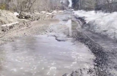 Это не дорога, а катастрофа: пензенцы требуют срочно спасти проезд Черепановых Это не дорога, а катастрофа: пензенцы требуют срочно спасти проезд Черепановых