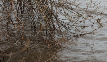 Пензенская область под наблюдением: на Атмисе зафиксирован подъем воды