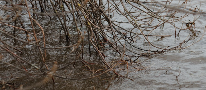 Пензенская область под наблюдением: на Атмисе зафиксирован подъем воды