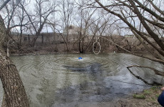 В Пензе спасатели провели необычную операцию, чтобы помочь собаке В Пензе спасатели провели необычную операцию, чтобы помочь собаке