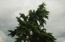 Дождь, гроза, ветер и резкое потепление: неожиданный прогноз погоды на 14 апреля