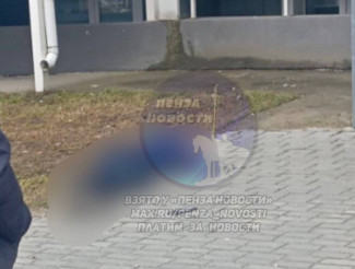 ЧП в Пензенском районе: 18-летний юноша погиб при падении с высоты
