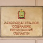 В Пензенской области нашли пробел в законе о поддержке детей участников СВО