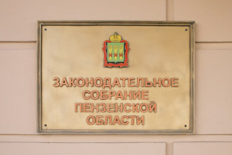В Пензенской области нашли пробел в законе о поддержке детей участников СВО