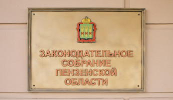 В Пензенской области нашли пробел в законе о поддержке детей участников СВО