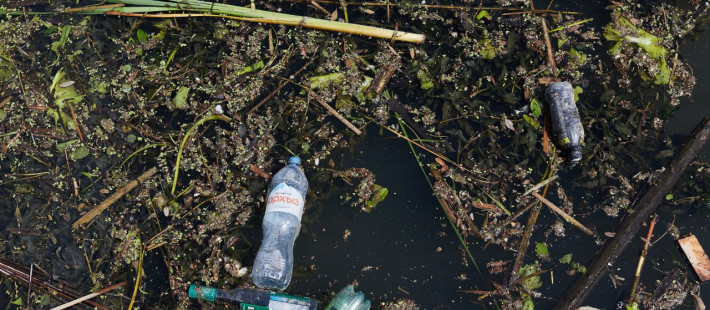 Пензенская область в мусоре: регион спасают от загрязнения рек