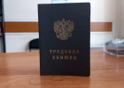 Пензенцам раскрыли способ получить данные о работе без визитов в офис