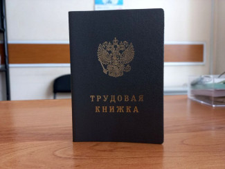 Пензенцам раскрыли способ получить данные о работе без визитов в офис