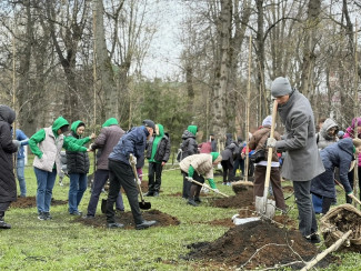 Зеленый десант в Пензе: тысячи жителей вышли менять город