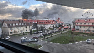 Огонь пожирает Город развлечений: с пожаром под Пензой борются около 40 человек