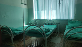 За прошедшую неделю в Пензе и области подхватили ОРВИ свыше 1400 человек